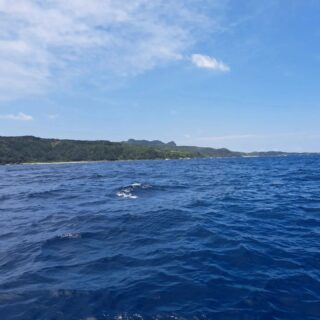 鈴木アーラミーバイリリース逃す