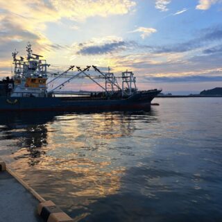 塩釜サビキ　小サバ祭り